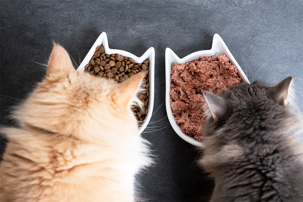 Pet food producers purr over US bill to modernize regulation as feed control officials bite back