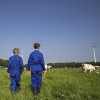 FrieslandCampina Ingredients bolsters regenerative dairy farming with tech and farmer incentives