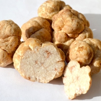 MycoTechnology accelerates honey truffle sweetener commercialization