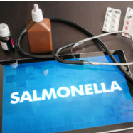 Salmonella outbreak sickens 12 in Denmark