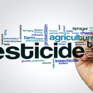 EFSA shares 2022 data on pesticide residues in food