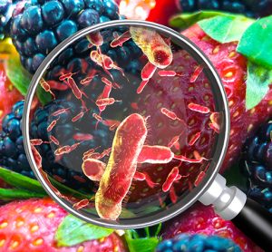 New research furthers industry understanding of foodborne bacteria survival in food preparation envi