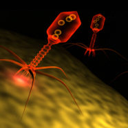 Swiss startup leads in food safety with bacteriophage technology