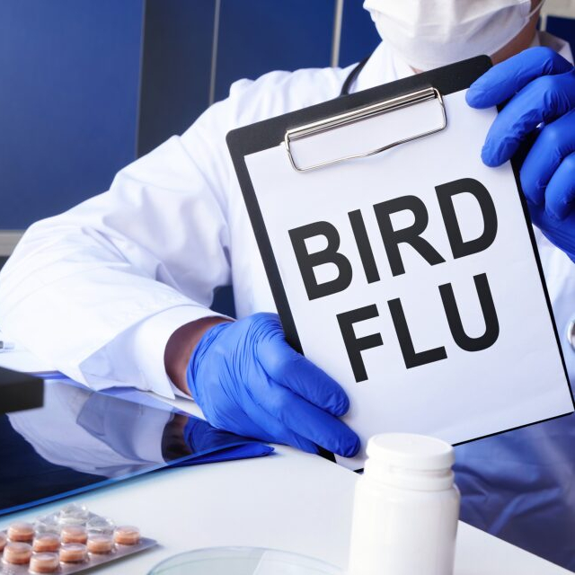 That second human bird flu illness brings stepped-up involvement by the CDC