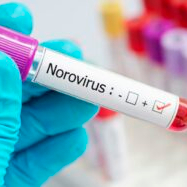 Danish campaign results show norovirus uncertainty