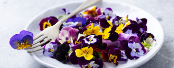 Innova research highlights how floral flavours are having a moment