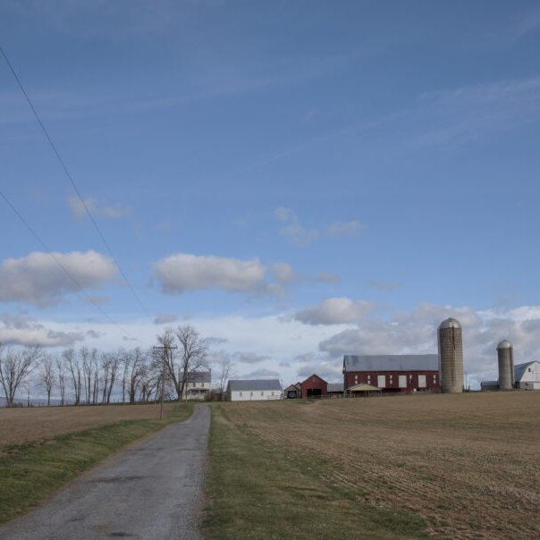 The Farm Bill train is leaving the station