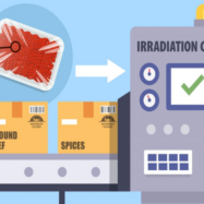 Researchers say irradiation of food could reduce foodborne illness outbreaks