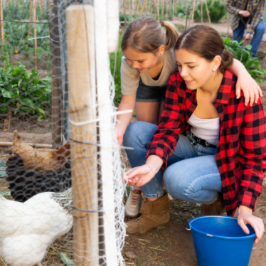 Multistate Salmonella outbreak linked to backyard poultry