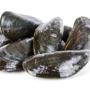 Outbreak of paralytic shellfish poisoning reported in relation to Oregon mussels