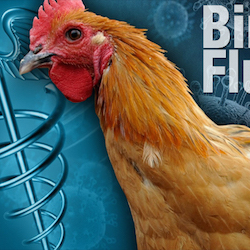 Bird flu found in another Michigan farmworker