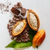 Kerry navigates soaring cocoa costs with solutions to reduce quantity mass while delivering authenti