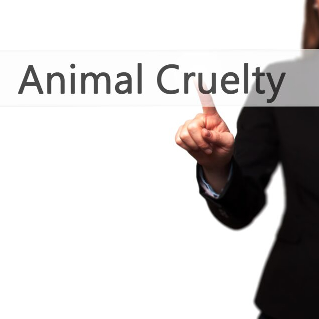 A comment is longer than the petition for animal cruelty investigations