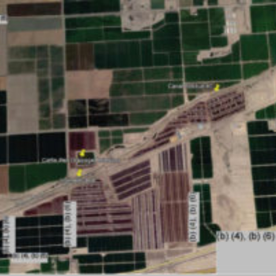 Researchers establish a link between feedlots and contamination of produce, irrigation water