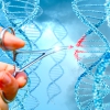 Syngenta opens rights to genome-editing and breeding technology for academic research