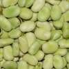 Phytokana Ingredients unlocks crop science to formulate 70% fava bean protein concentrate