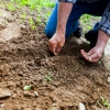 Soil monitoring law: New EU directive calls for sustainable food production