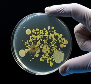 Calls made for actionable steps to combat the rising threat of antimicrobial resistance