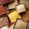 FAO finds world food prices unchanged after consecutive monthly upticks