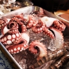 US poised to outlaw octopus farming with new bill to boost animal welfare and protect the ocean