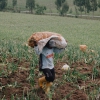 UK Government announces deal to restore farmer confidence and boost food security