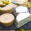 Cow-free cheese: German consumers increasingly open to precision fermentation-based products