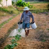 Beyond The Headlines: USDA modifies farmer loan policy, Brazil’s climate-smart coffee plantations