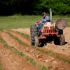 Deeply divided? Calls for EU’s future of food and agriculture to focus on farmers