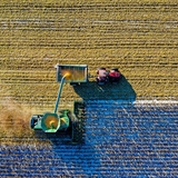 EU farmers’ union calls for stronger CAP reform to stabilize food markets and farming sector