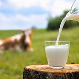 Aldi and Arla partnership eyes enhanced support for decarbonized dairy farming