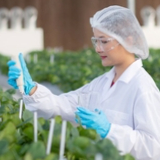Sustainable Nutrition Breakthrough: New synthesis method lets plants produce animal-based nutrients