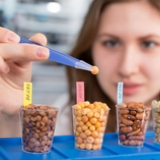 Eating more beans and pulses can overcome nutrient shortfalls, study finds