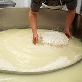 Upcycled concepts: Arla Foods Ingredients leverages acid whey in F&B amid dairy waste concerns