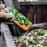 Flagging food waste: Experts highlight failures and challenges in Europe’s collection