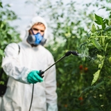 EU citizens demand stronger policy focus on pesticide reduction