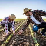 Cargill advances regenerative agriculture efforts with increased farmer involvement