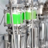 Brevel introduces “first-of-its-kind” microalgae technology with new pilot facility