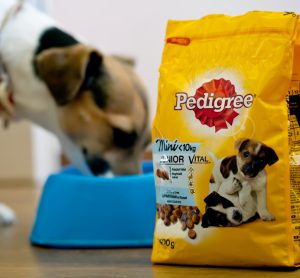 Mars announces 100 percent renewable energy plan for Australian pet food site