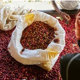 FAO Food Outlook: Global food import bill to exceed US$2 trillion as coffee, cocoa and tea drive inc