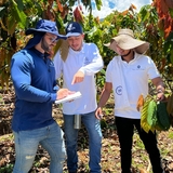 Colombian chocolate manufacturer bolsters cocoa sustainability with traceability partnership