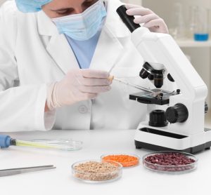 Mérieux NutriSciences to acquire Bureau Veritas’ global food testing division