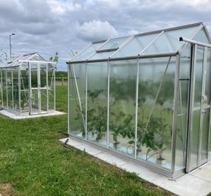 UK scientists unveil light-optimising greenhouse coating to extend produce growing seasons