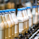 Imagindairy secures regulatory approval to market animal-free milk proteins in Israel