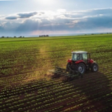 Global crop yields have grown steadily in last six decades but food security still fragile, flags st