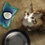 Amcor highlights PPWR impact on pet food packaging industry