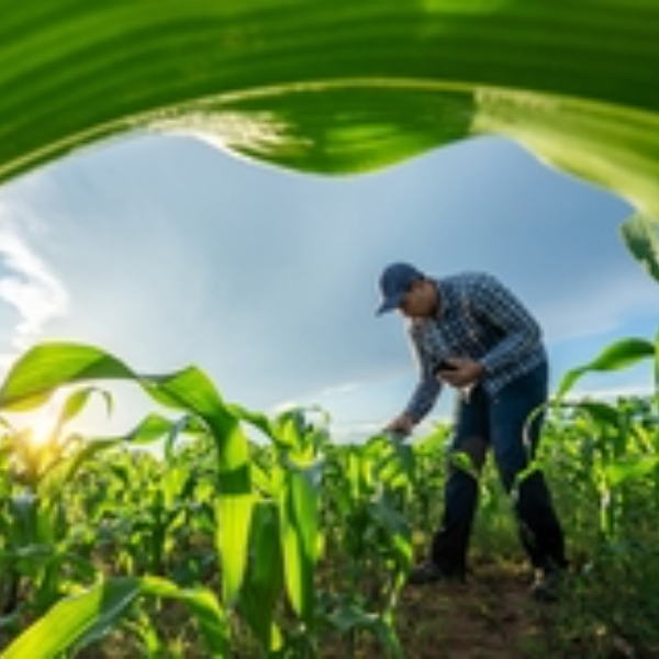 Europeans endorse CAP payments for climate-friendly agriculture, flags Eurobarometer survey