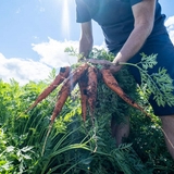 University of Guelph lands multi-million deal to develop Canada’s first agri-food entrepreneurship p
