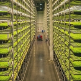 AeroFarms commercializes and scales climate-agnostic vertically farmed microgreens in US