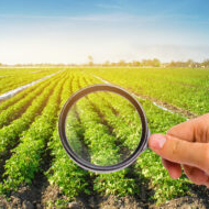 FDA unveils database about contamination levels in food