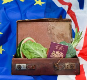 FDF urges action as Brexit bureaucracy strangles UK food exports by a third